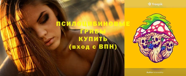 бошки Чегем