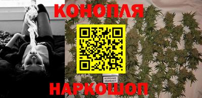 гашик Краснознаменск