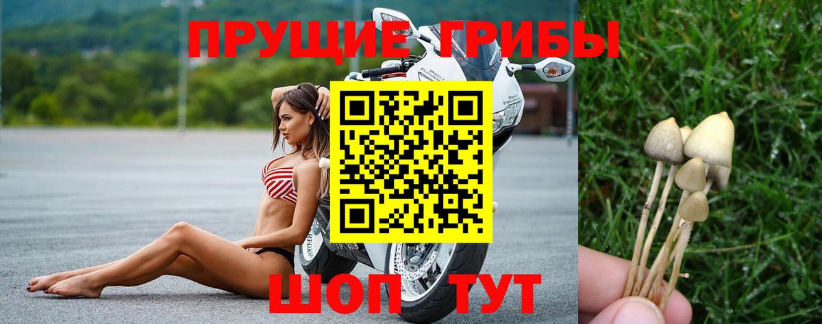 Галлюциногенные грибы GOLDEN TEACHER Южноуральск